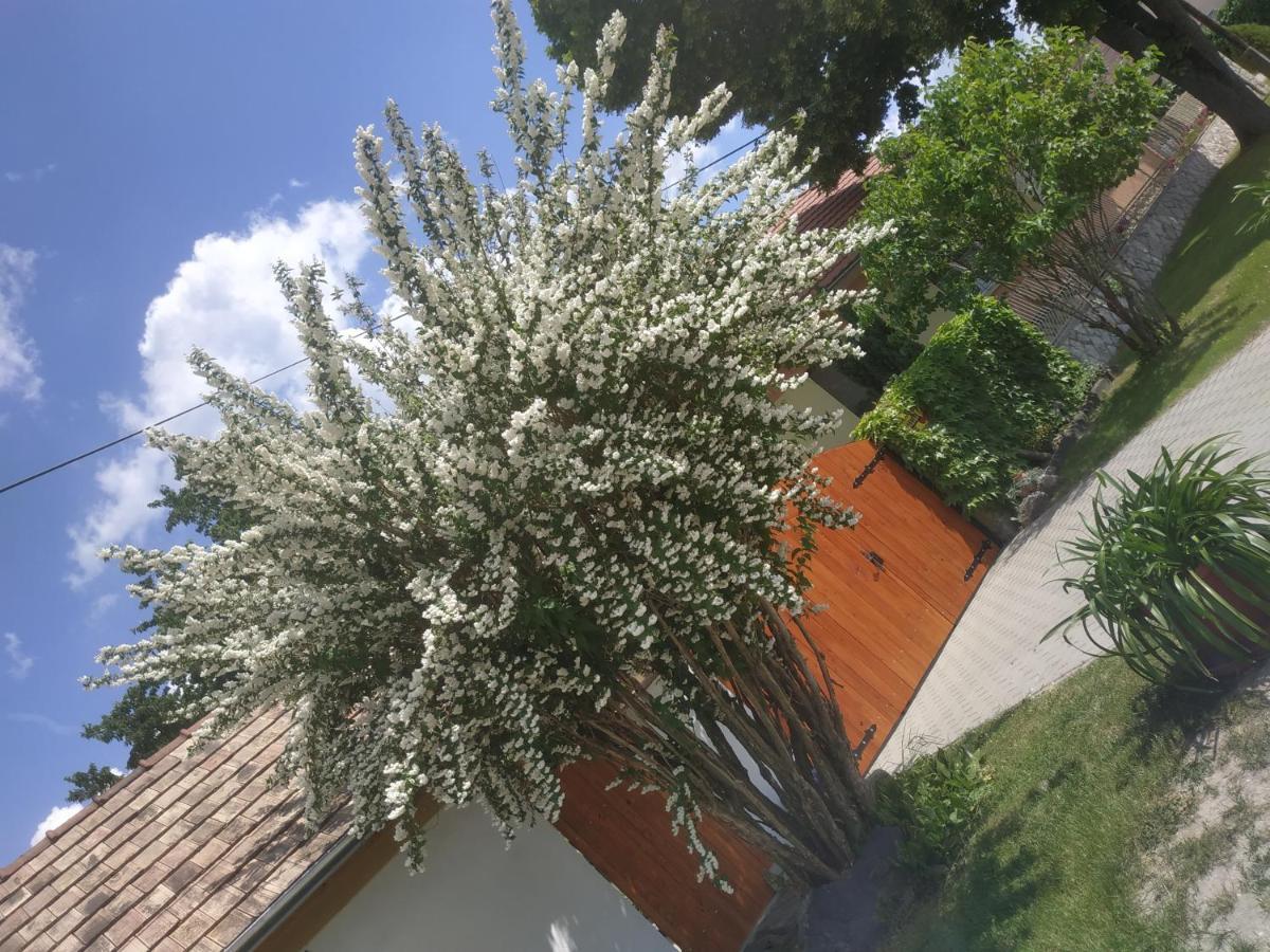 Cseresznyes Haz Lipót Εξωτερικό φωτογραφία
